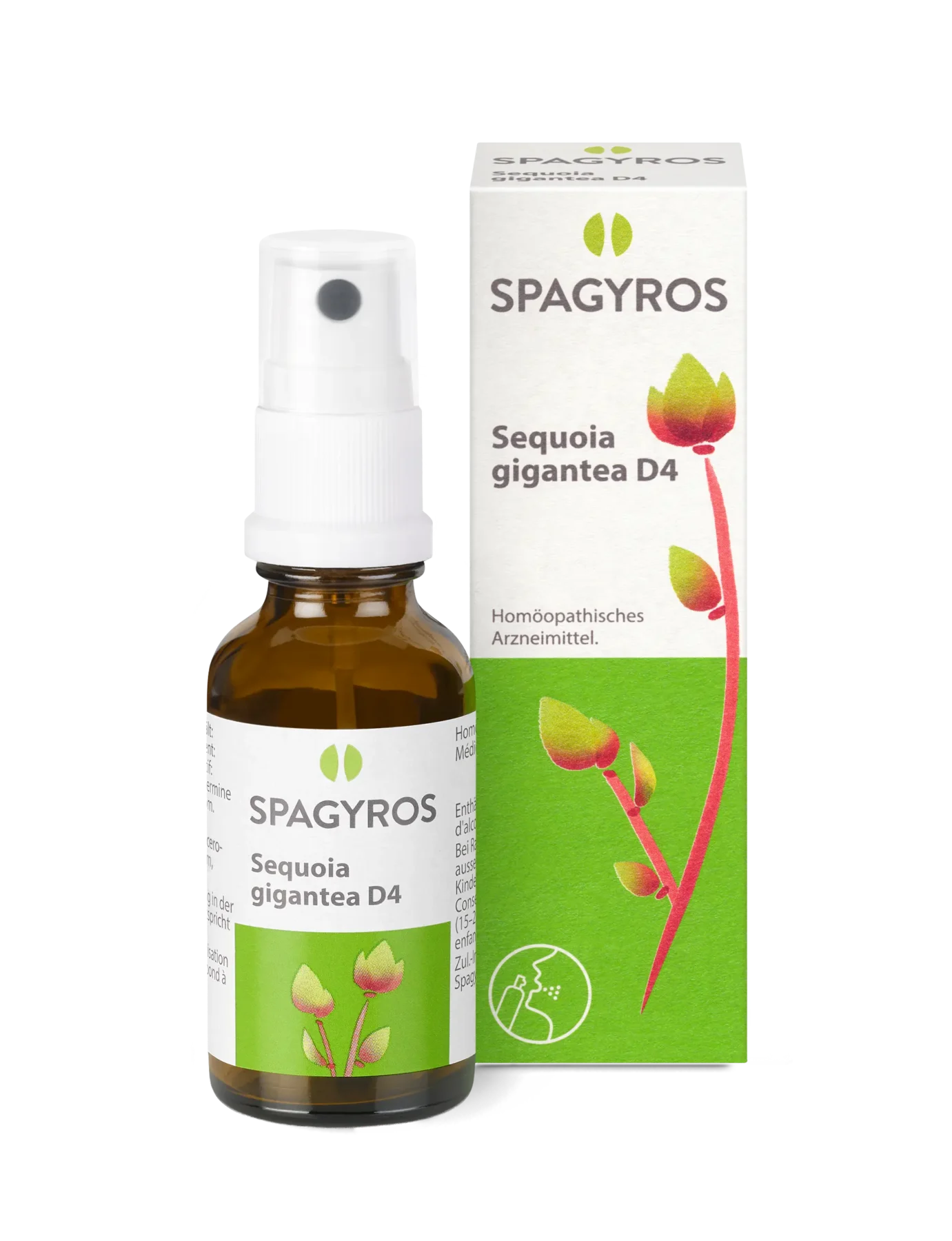 Sequoia-gigantea-D4_V2_DE