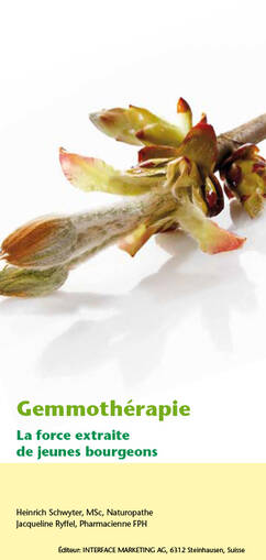 Gemmotherapie - La force extraite de jeunes bourgeons