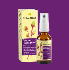 Spagyros Ribes nigrum® 