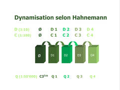 Dynamisation selon Hahnemann