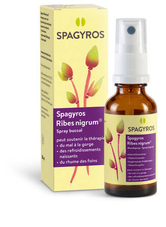 Spagyros Ribes nigrum® Spray buccal