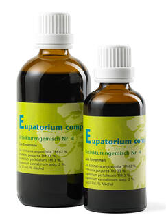 Eupatorium perfoliatum comp.